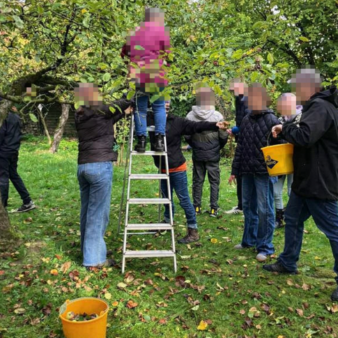 Bäume pflanzen auf Gut Morhard