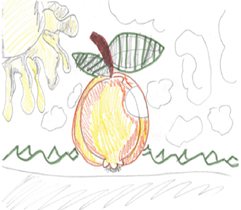 Illustration: Aleksandar