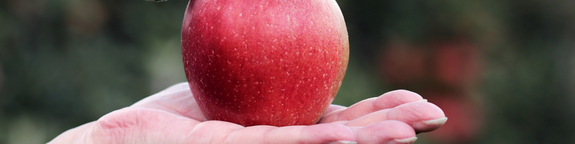 Hinterlassen Sie ein Erbe