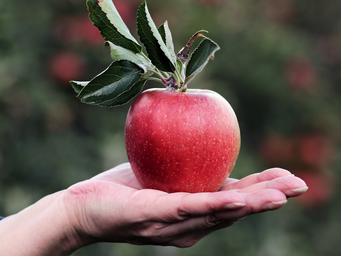 Hinterlassen Sie ein Erbe